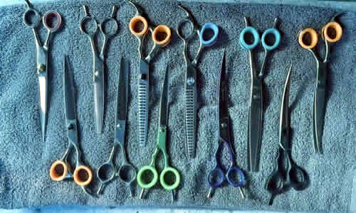Scissor Sharpening